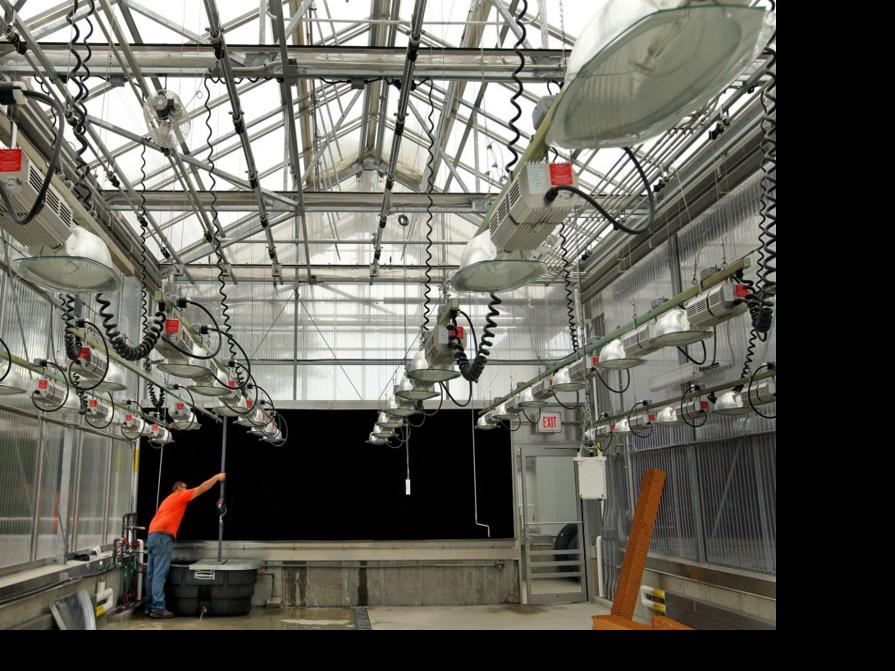 Can spending money on trails and density grow tech jobs in St. Louis County? - STLtoday.com