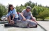 Record setting catfish