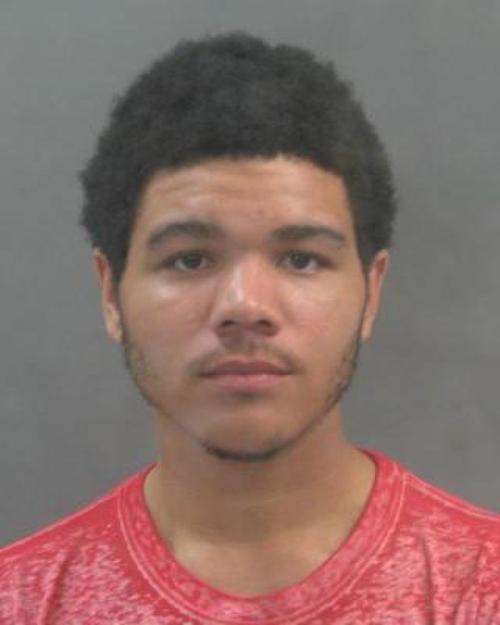 St. Louis man charged with burning dog