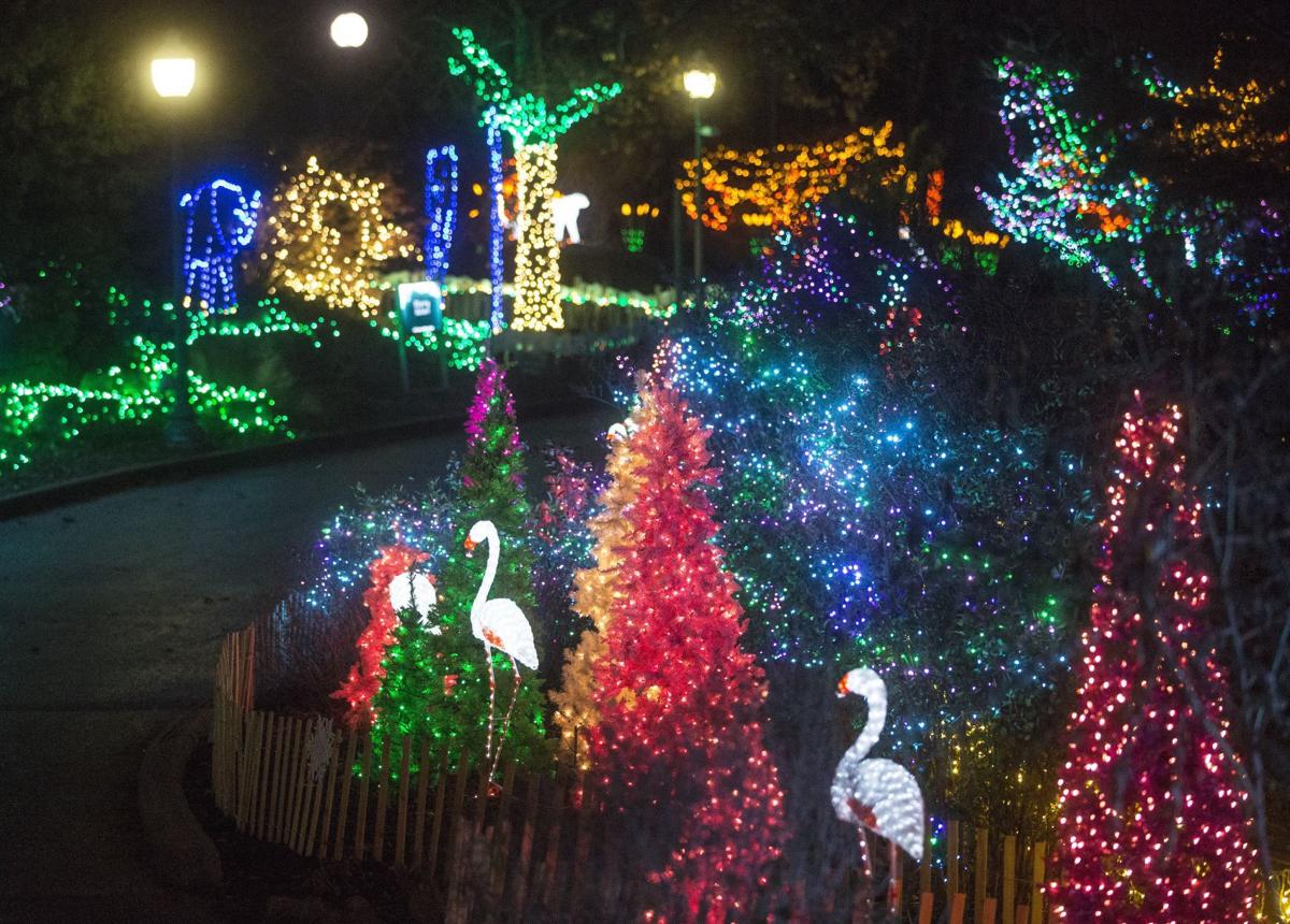 St. Louis lights up the holidays | Holidays | 0