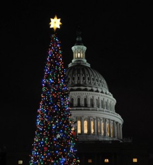 The 2011 Congressional Christmas tree, a California fir, on the Capitol's west front.