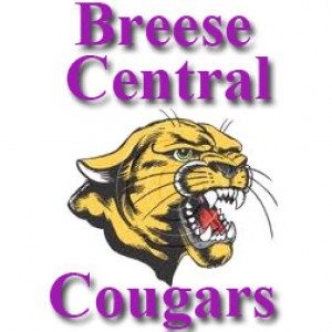 Breese Central moves to girls hoops showdown with Nashville