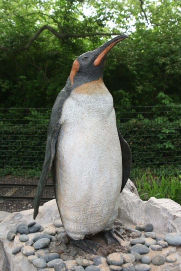 A.J. Obara penguin sculpture