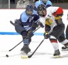 Hockey Belleville East vs Granite City (01-10-12)