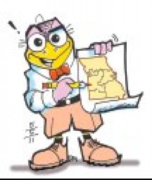 redistricting weatherbird
