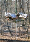 HOUR STORY: Powder Valley's feeders give people chance to view birds in action