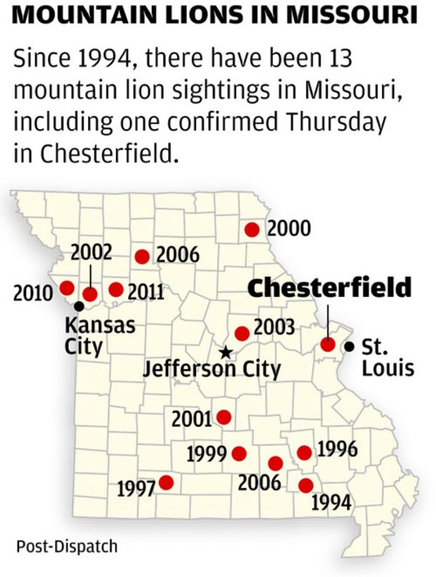 Camera captures mountain lion in Chesterfield News