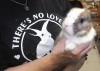 Rabbit rescuers warn against abandoning bunnies  