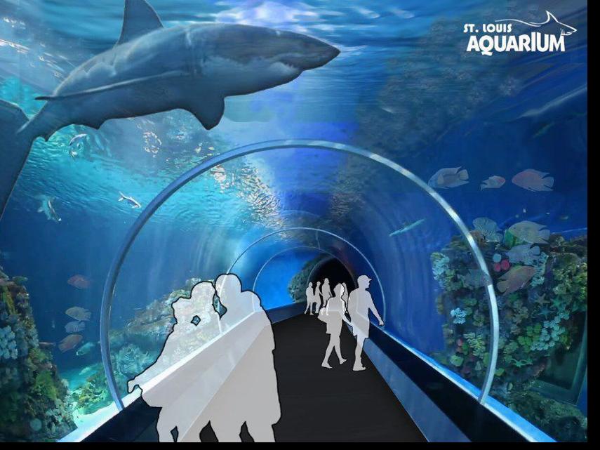 Aquarium planned for Union Station in downtown St. Louis | Business | 0