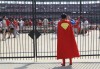 Charlee Chartrand makes a living out of Superman