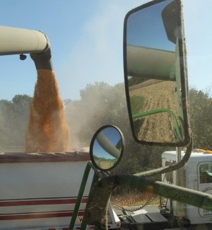Monsanto says new seed strategy will yield growth  