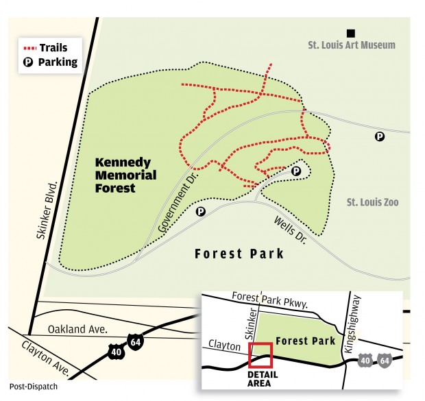 Kennedy Memorial Forest Lifestyles