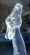 Freeze framed