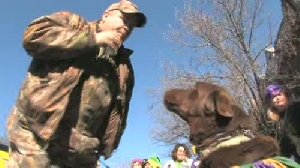 Watch scenes from the Beggin' Pet Parade