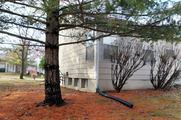 Wildwood woman admits leaving newborn after panicking about birth