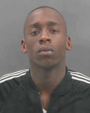 St. Louis teen charged in Tower Grove South burglaries