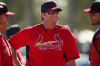 Jon Jay, Peter Bourjos and pitchers at Cardinals camp