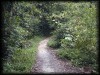 Moving step by step into "Clergy World"