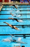 Girls Swimming Championships