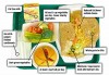 Lunch tray
