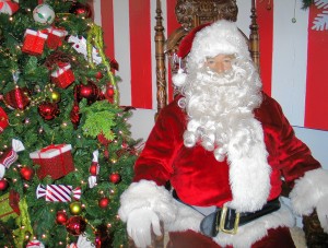 One of Santa's helpers  
