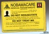 What do you think of R.J. Matson's 'Nobamacare' cartoon? 