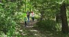 Strawberry Creek Nature Area Trails  