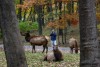 Lone Elk Park