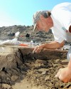 Archeological dig