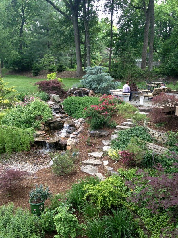 Meet our Great Garden contest winners Lifestyles