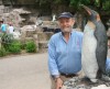 Artist installs new penguin sculpture at St. Louis Zoo 