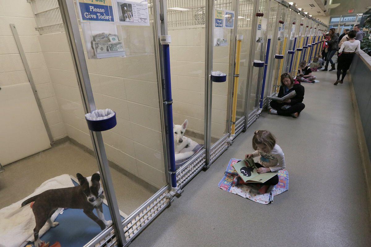 Kids read to shelter dogs at the Humane Society of Mo. Local
