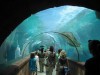 ATLANTIS RESORT, THE BAHAMAS