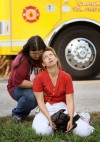 Fire in East Carondelet kills 13 dogs