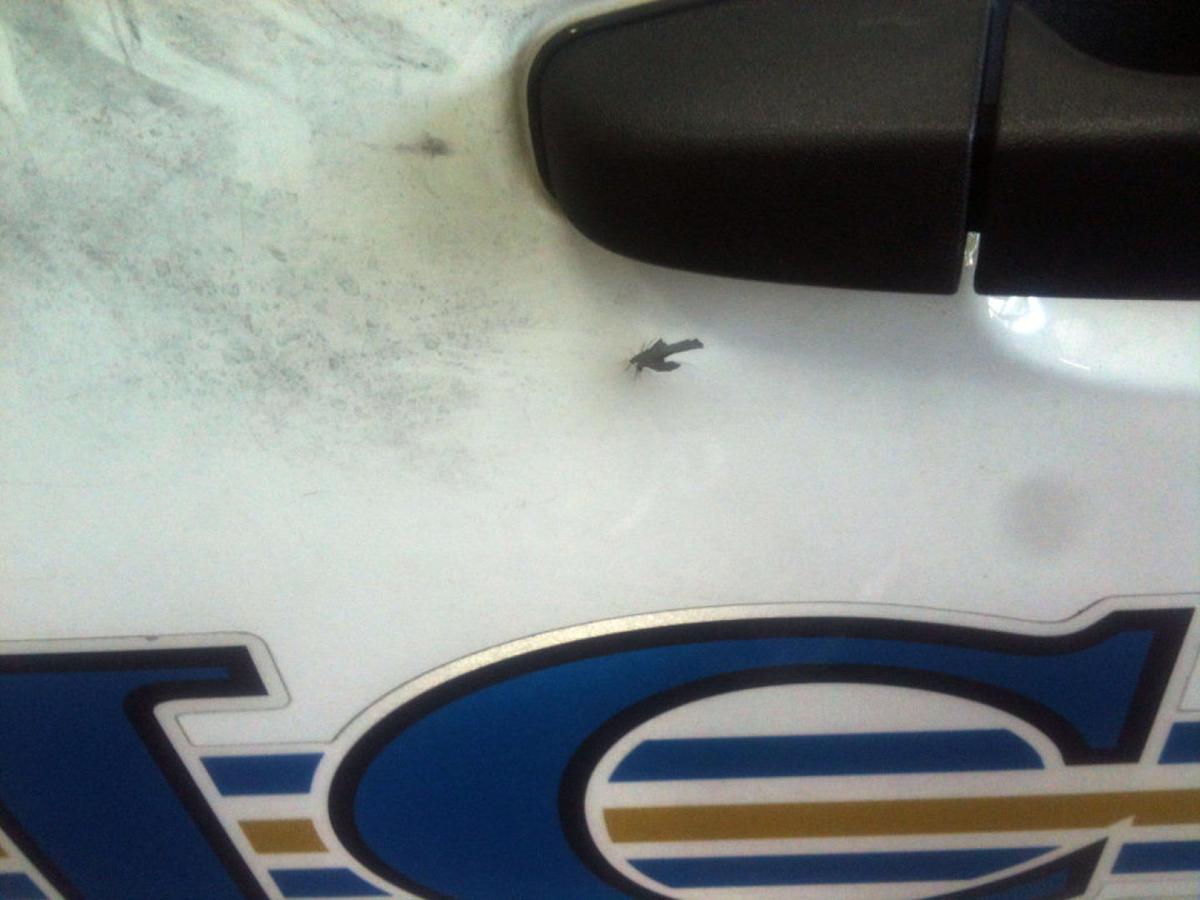 Ferguson police car detail