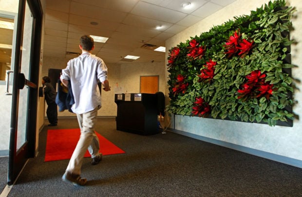 St. Louis company brightens up Bridgeton call center with green walls | Business | 0