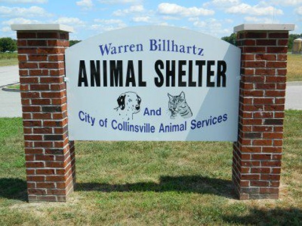 Warren County Animal Shelter / Warren County Animal Ark in Warrenton