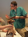 Humane Society of Missouri and Missouri Department of Agriculture rescue animals.