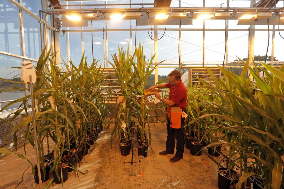 Monsanto says latest expansion helps cement region's standing as