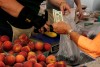 Clayton Farmers Market