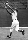 Curt Flood
