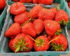 Six Row taps a strawberry beer, Morton's hosts a brewer
