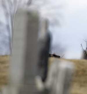 Cemetery tombstone