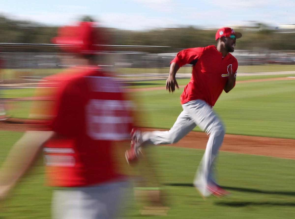 Scenes from Cardinals Spring Training on Saturday, Feb. 18 ...