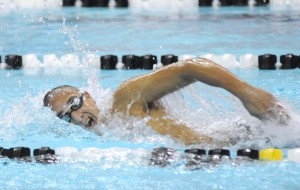 Locals pick their spots at state meet