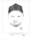 University City suspect sketch