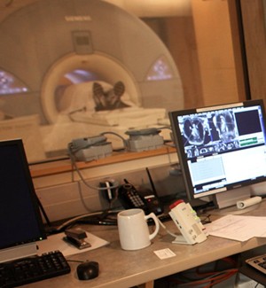 MRI