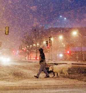 Rain likely Wednesday in St. Louis after snow that fell short of predictions