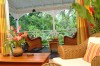Today I'd go ... to St. Lucia 
