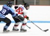 Hockey Belleville East vs Granite City (01-10-12)